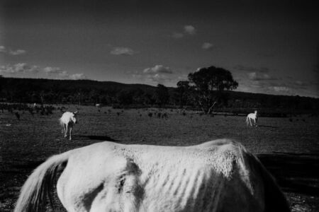 Trent Parke