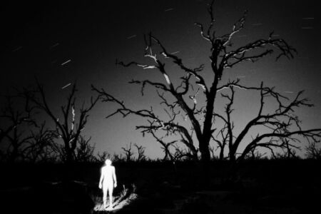 Trent Parke