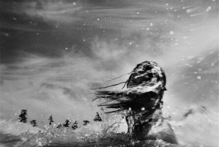 Trent Parke