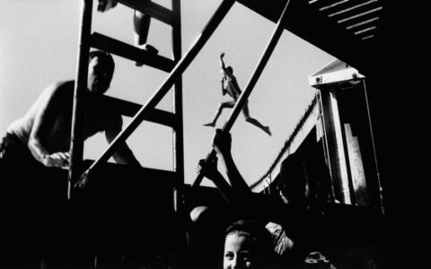 Trent Parke