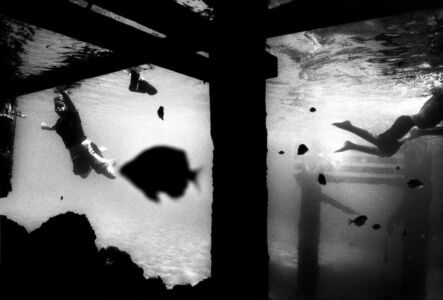 Trent Parke