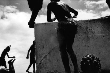 Trent Parke