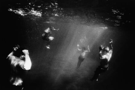 Trent Parke