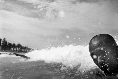 Trent Parke