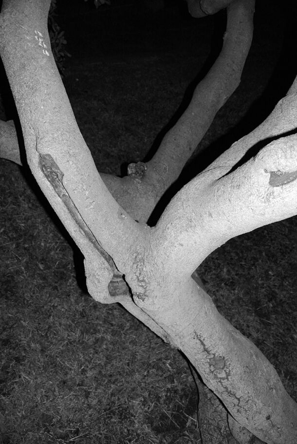 Yiannis Trifonopoulos - What Lies Beneath