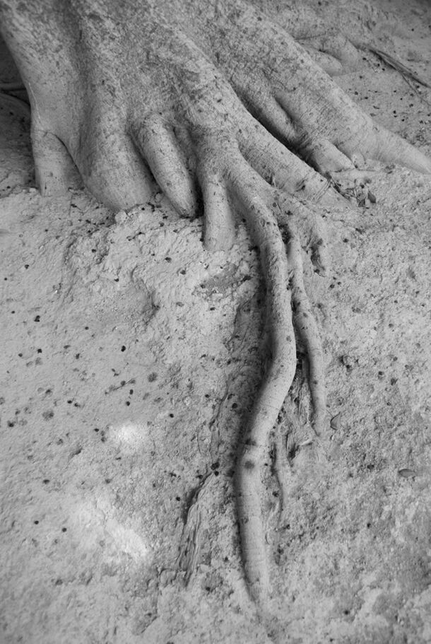 Yiannis Trifonopoulos - What Lies Beneath