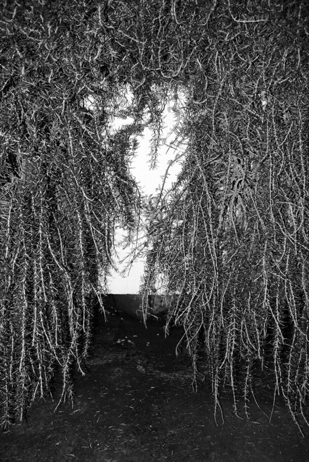 Yiannis Trifonopoulos - What Lies Beneath