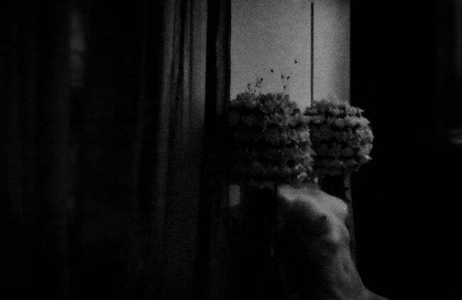 Ανθούλα Κουτούπη