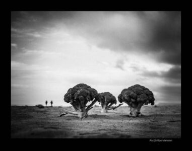 Αλεξάνδρα Manston