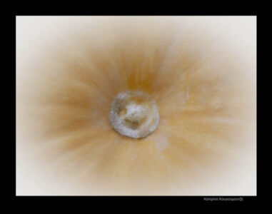 Κατερίνα Κουγιουμουτζή