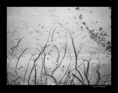 Φωτεινή Κούγλερη