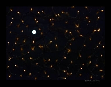 Στέλλα Κωνσταντάτου