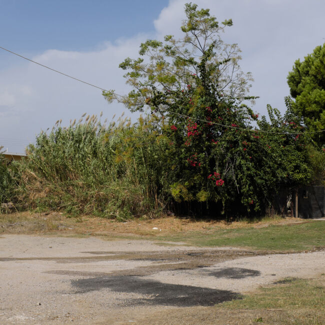 Γιώργος Βογιατζάκης