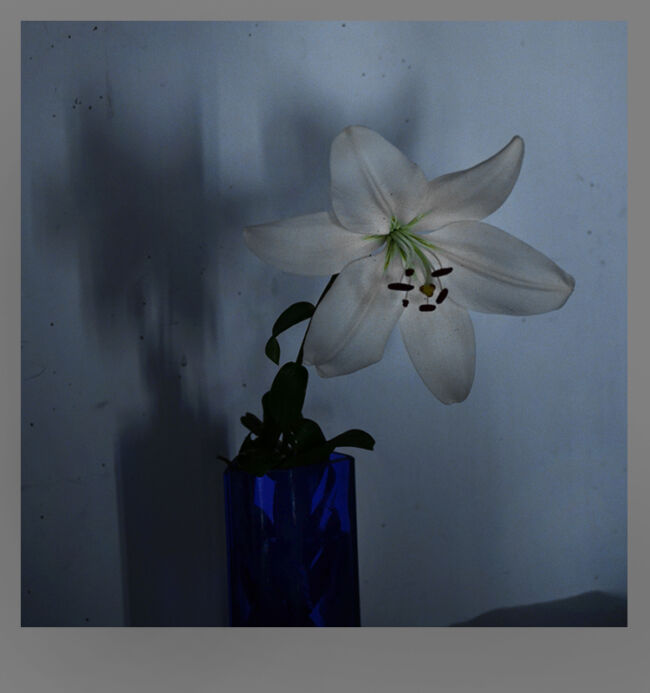 Λίζη Καλλιγά