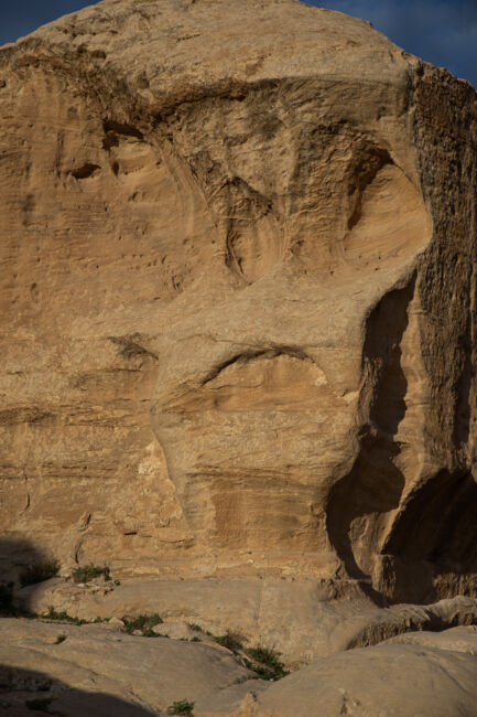 Τάσος Κουτσιαύτης