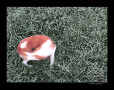 Κώστας Τζώρτζης