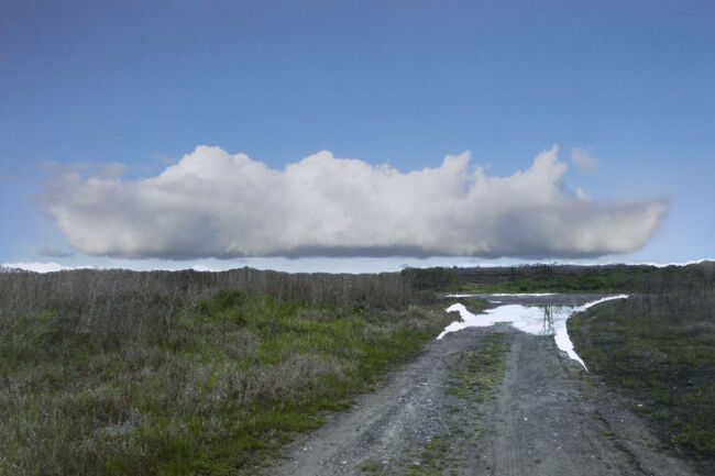 Erased scenes (from an untouched landscape)