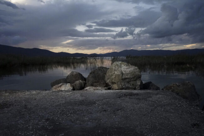 Σύλβια Αραπίδου