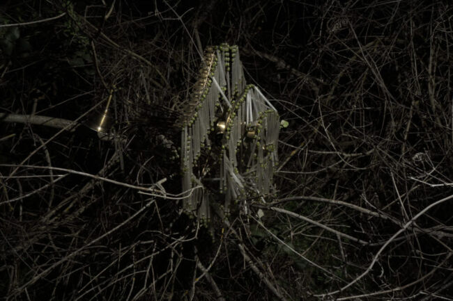 Σύλβια Αραπίδου