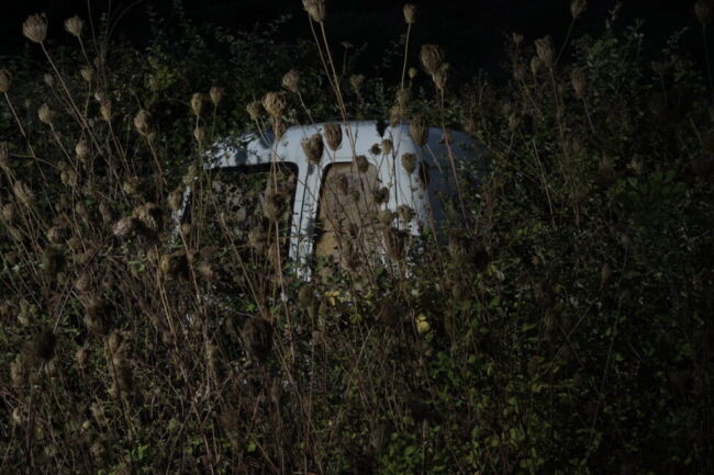 Σύλβια Αραπίδου