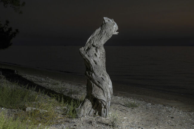 Σύλβια Αραπίδου