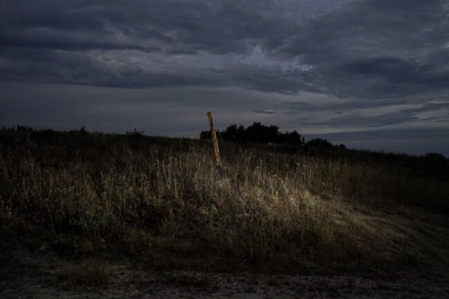 Σύλβια Αραπίδου