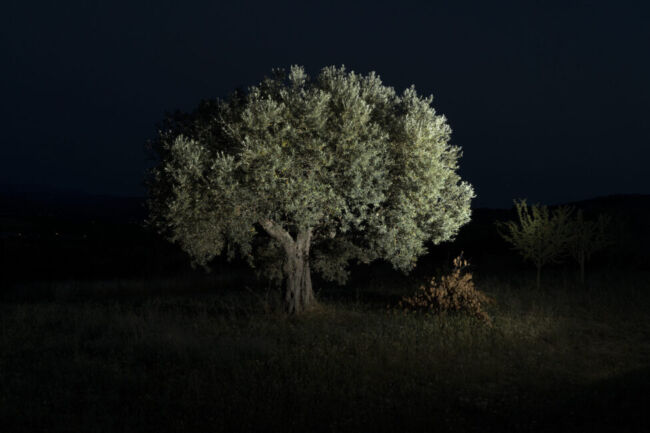 Σύλβια Αραπίδου