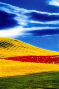 Franco Fontana