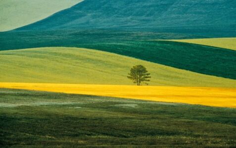 Franco Fontana