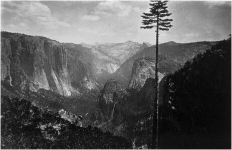 Carleton Watkins
