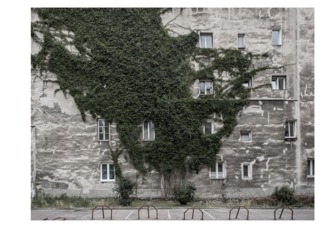 Anargyros Drolapas - uncanny valley