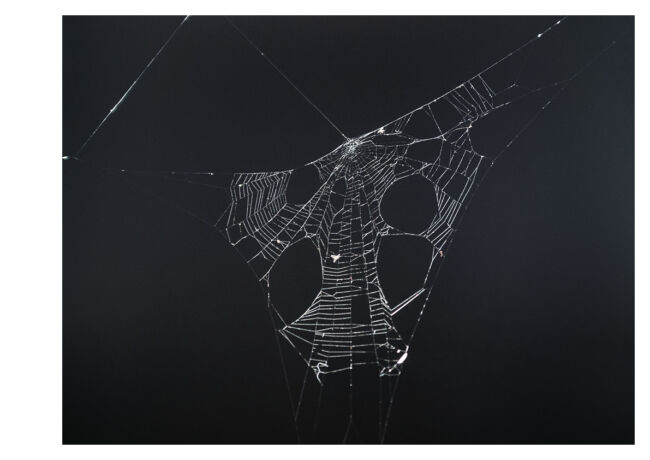 Anargyros Drolapas - uncanny valley