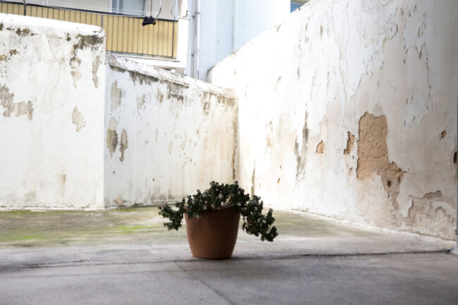 Δήμητρα Κίτσιου - Kodoku