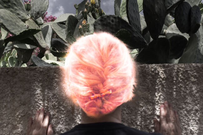 Δήμητρα Κίτσιου - Kodoku