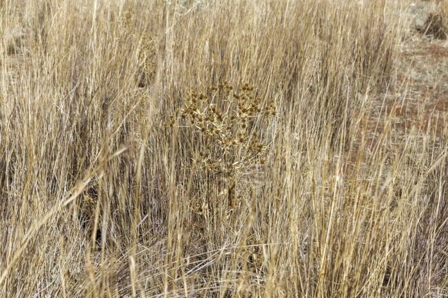 Λευτέρης Μαριδάκης - Learning to Say Farewell Λευτέρης Μαριδάκης - Learning to Say Farewell
