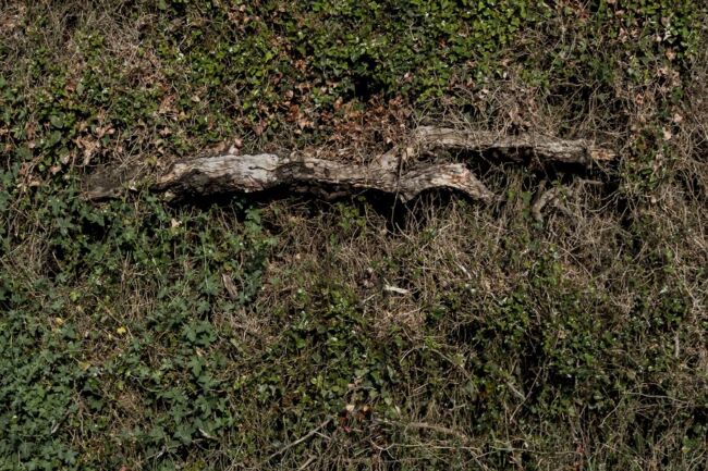 Λευτέρης Μαριδάκης - Learning to Say Farewell Λευτέρης Μαριδάκης - Learning to Say Farewell