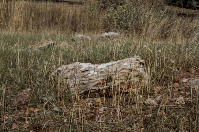 Λευτέρης Μαριδάκης - Learning to Say Farewell Λευτέρης Μαριδάκης - Learning to Say Farewell