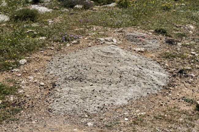 Λευτέρης Μαριδάκης - Learning to Say Farewell Λευτέρης Μαριδάκης - Learning to Say Farewell