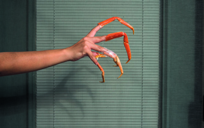 © Liza Ambrossio - Blood Orange Liza Ambrossio - Blood Orange