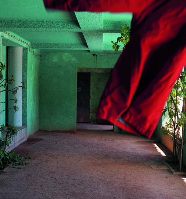 © Liza Ambrossio - Blood Orange Liza Ambrossio - Blood Orange