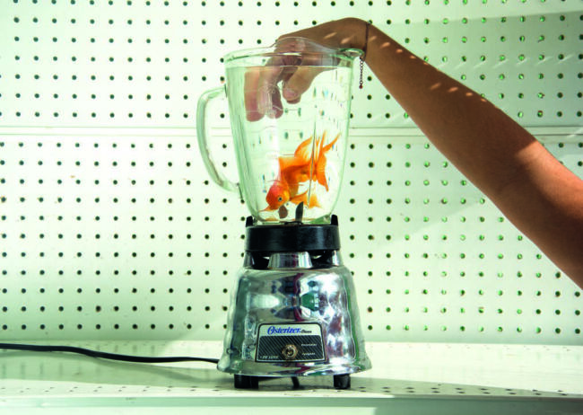 © Liza Ambrossio - Blood Orange Liza Ambrossio - Blood Orange