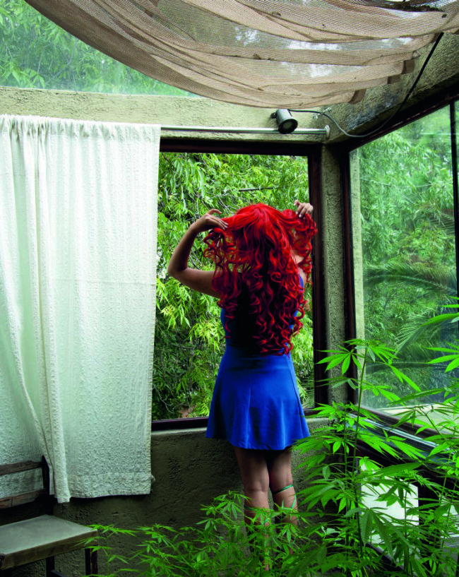 © Liza Ambrossio - Blood Orange Liza Ambrossio - Blood Orange