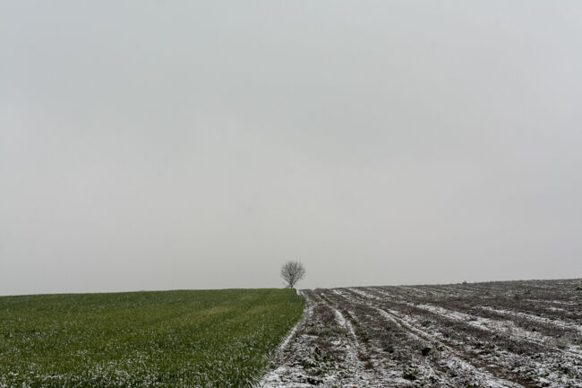 Βασίλης Νεμπεγλεριώτης