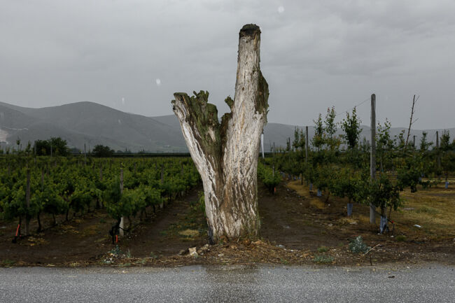 Βασίλης Νεμπεγλεριώτης