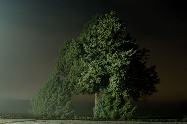 Βασίλης Νεμπεγλεριώτης