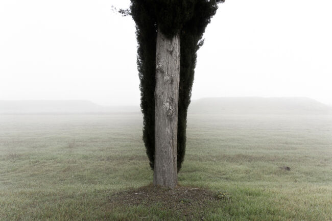 Βασίλης Νεμπεγλεριώτης