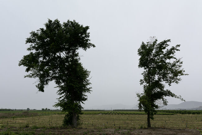 Βασίλης Νεμπεγλεριώτης