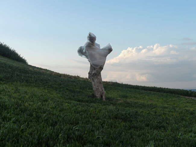 Νίκος Στάικογλου