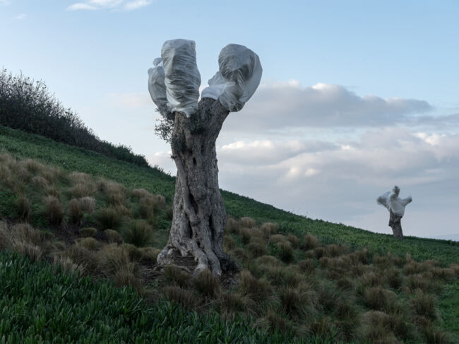 Νίκος Στάικογλου