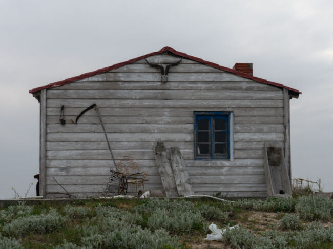 Νίκος Στάικογλου